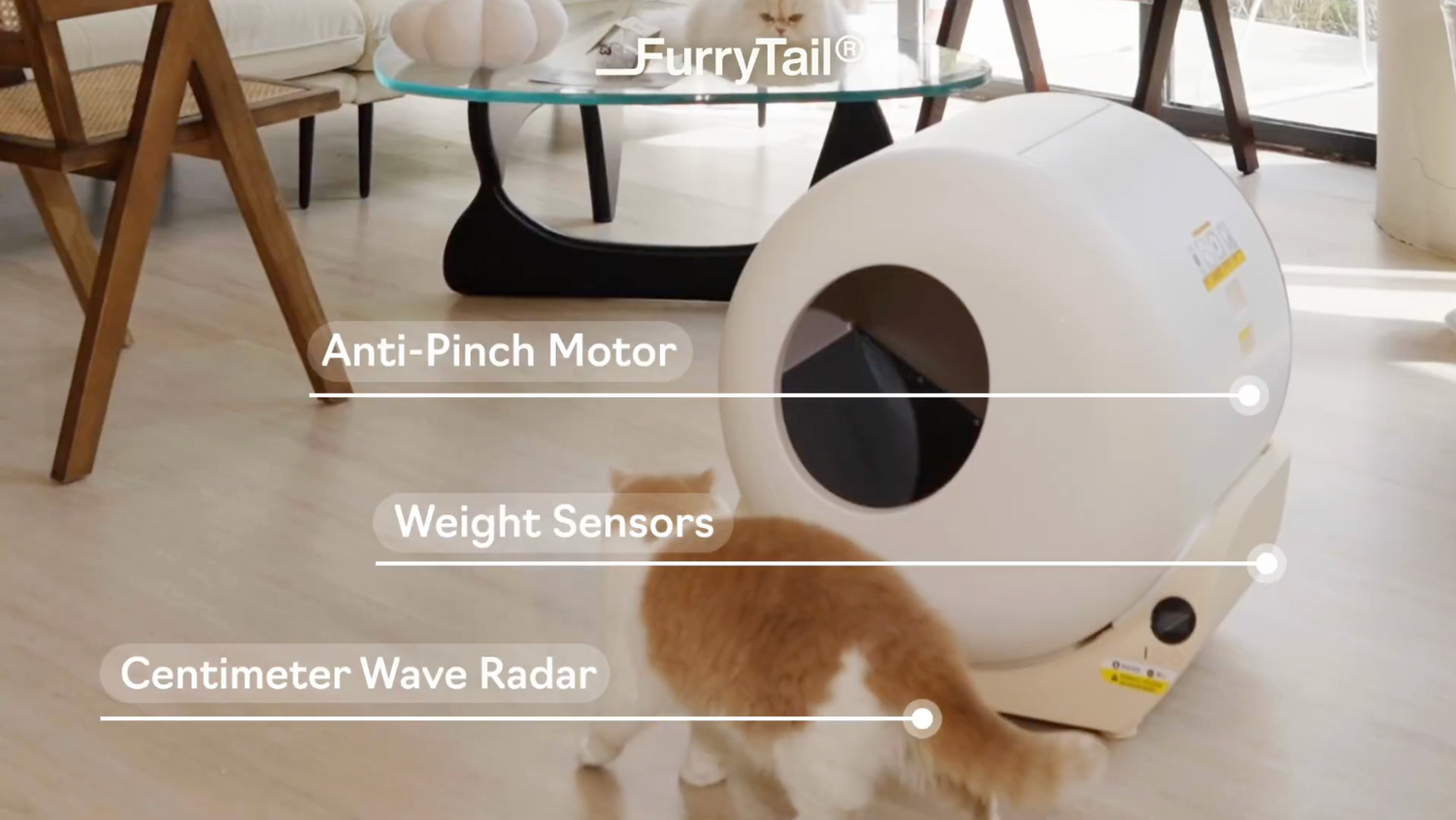 The Scoop on Automatic Litter Boxes & Safety