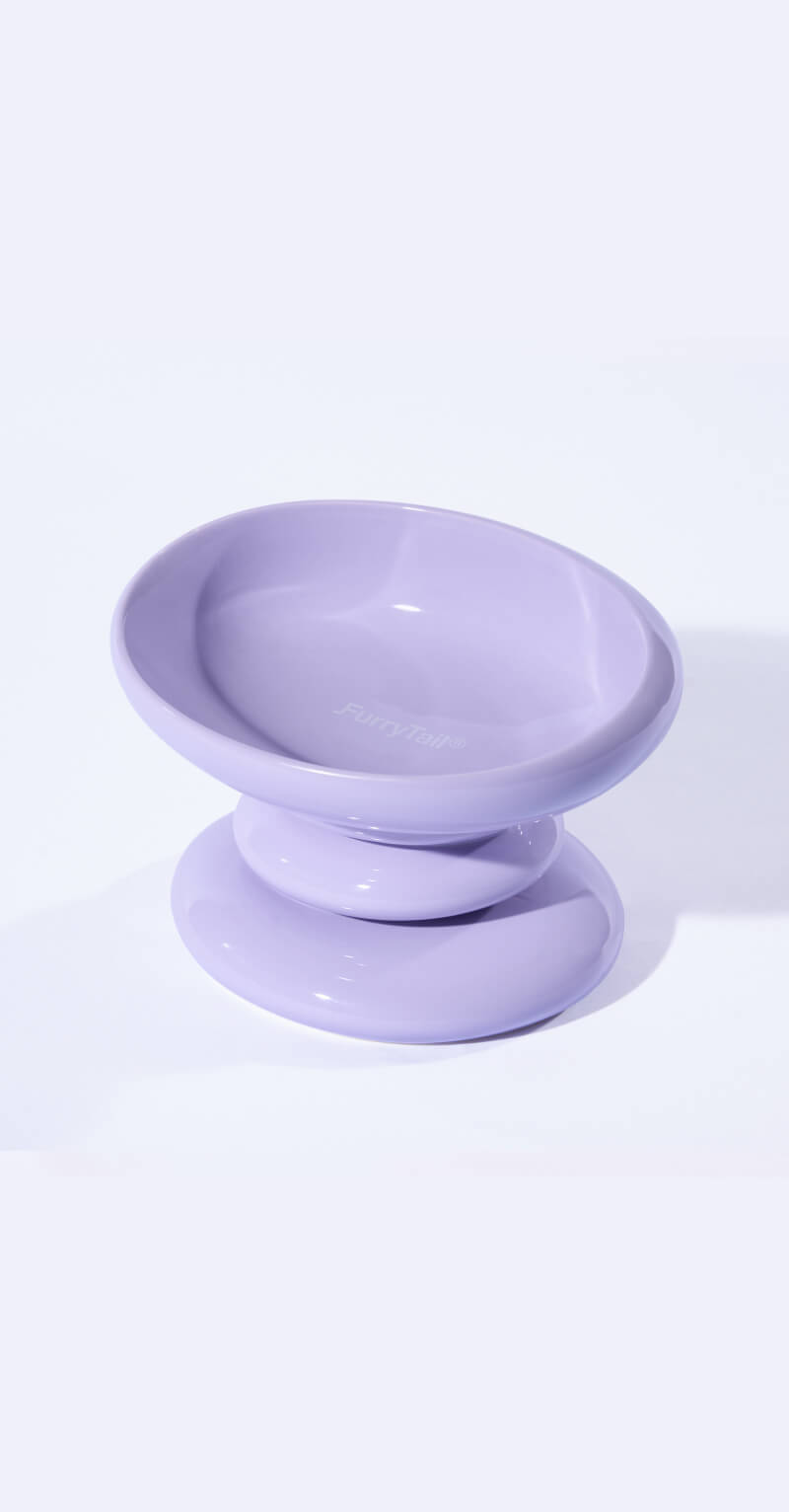 Catnip_Flower_category_mobile