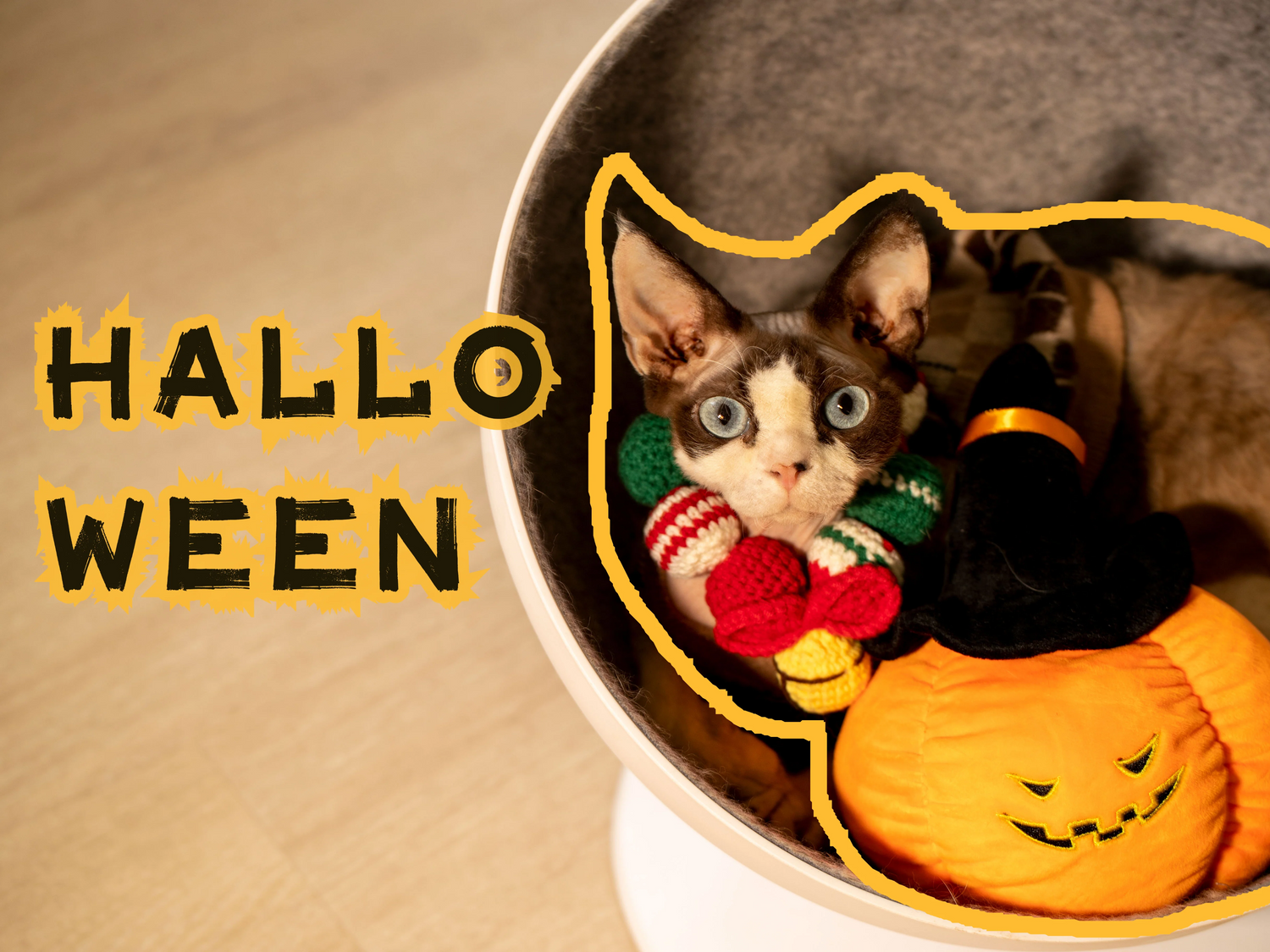 Purr-fect DIY Halloween Cat Costumes