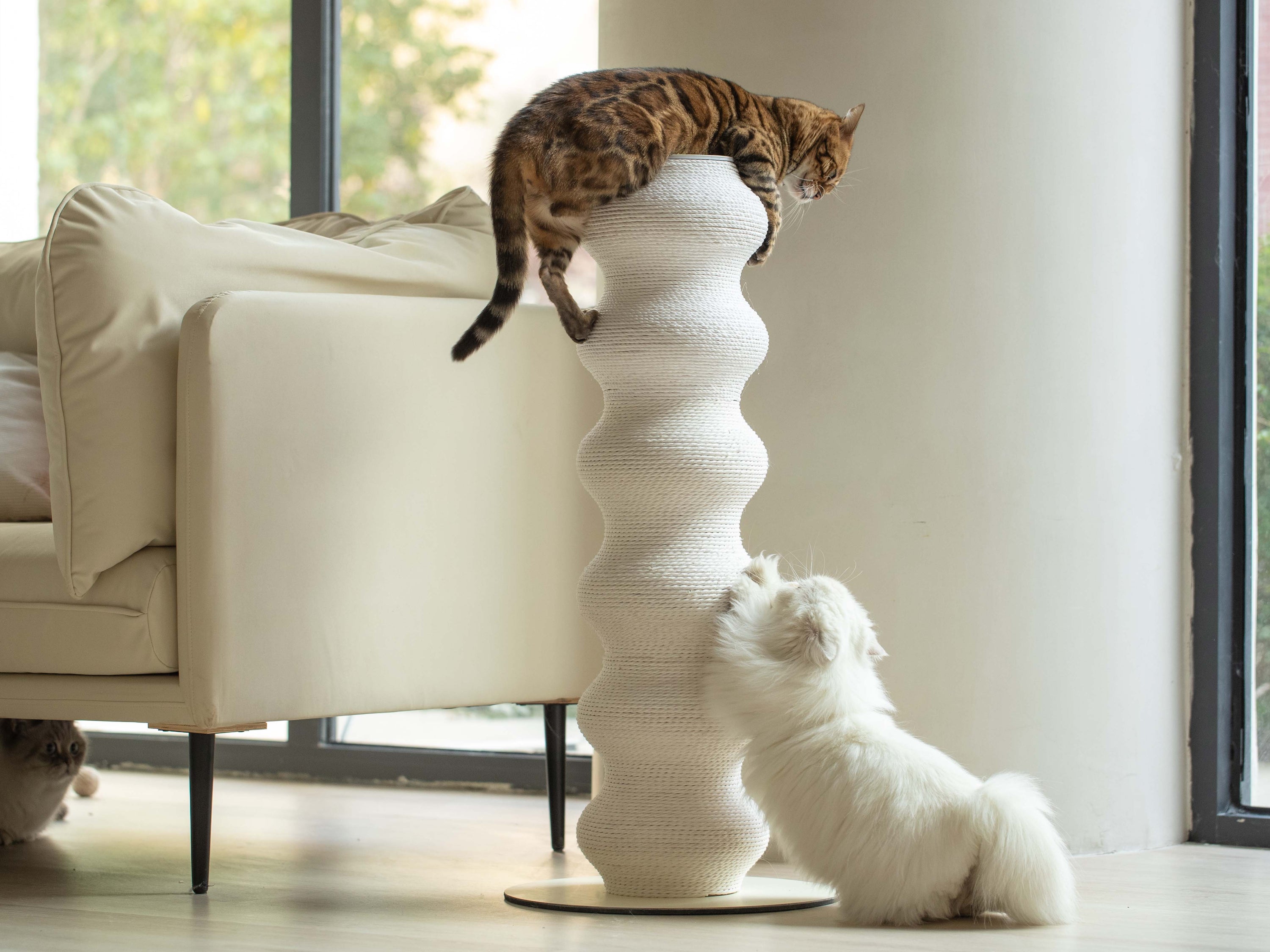 Cat scratching post