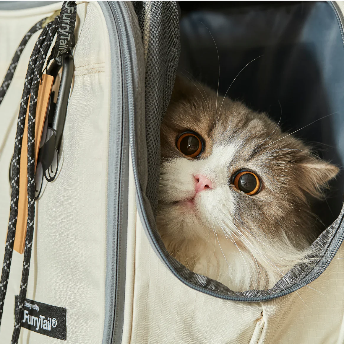 Loaf is all set to travel this Holiday Season.