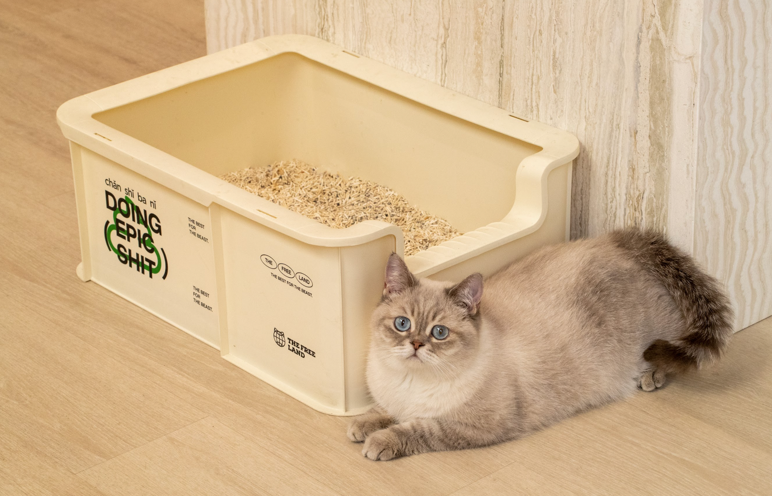 Think like a cat to avoid litter box mishaps