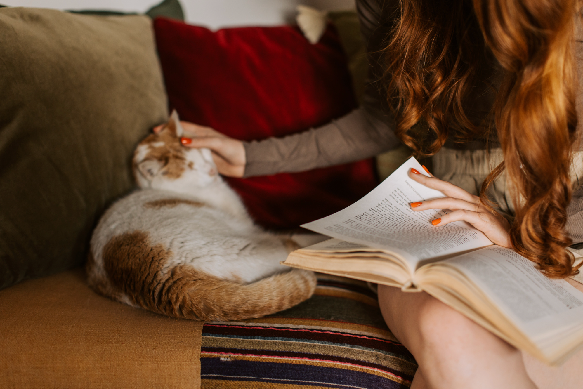 9 Tell-Tail Signs You Are a Cat Lady