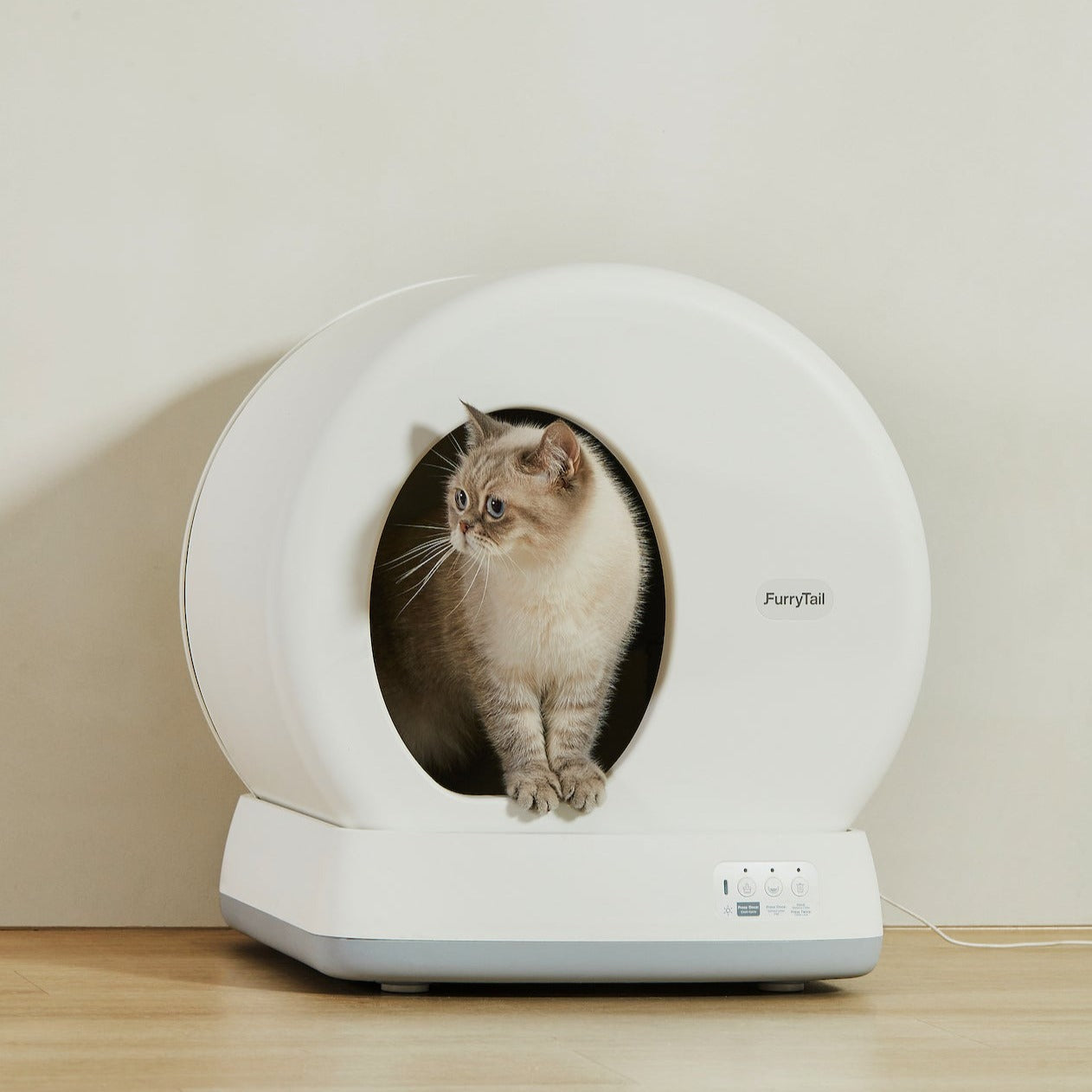 Automatic Cat Litter Box