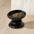 Black_Caviar_2
