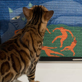 Peeping_Tomcat_4