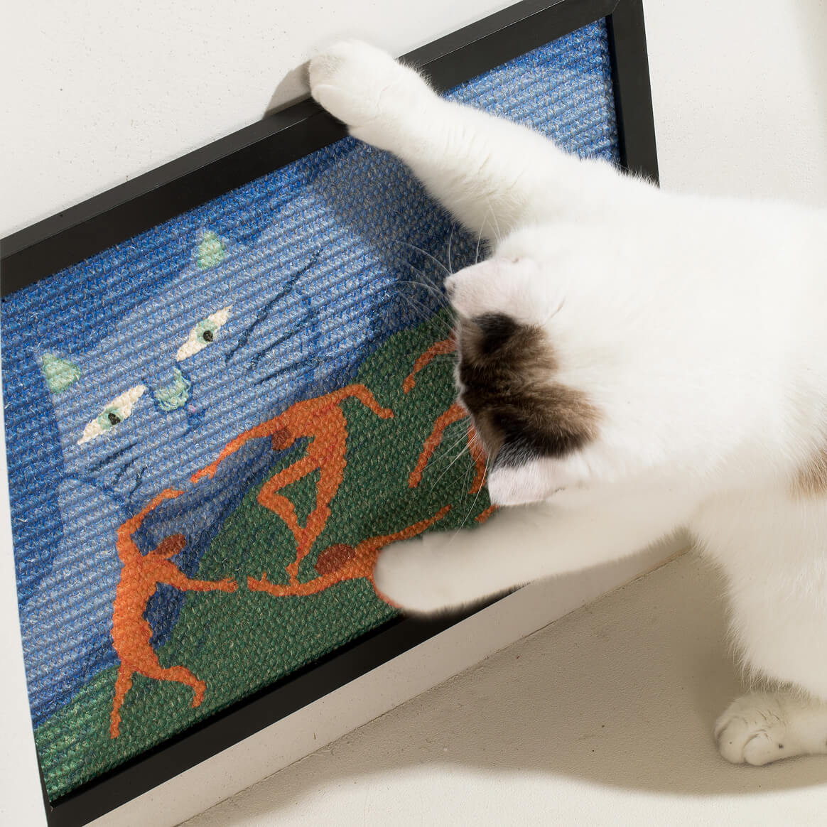 Peeping_Tomcat_2