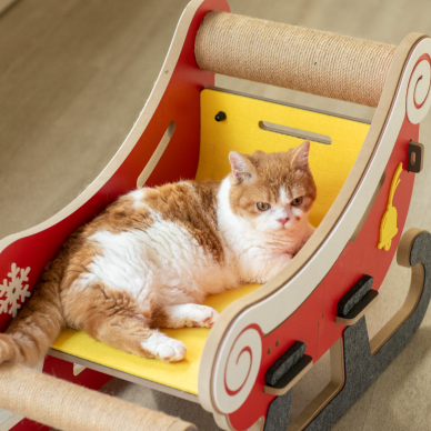 Stationary Sleigh Cat Scratcher