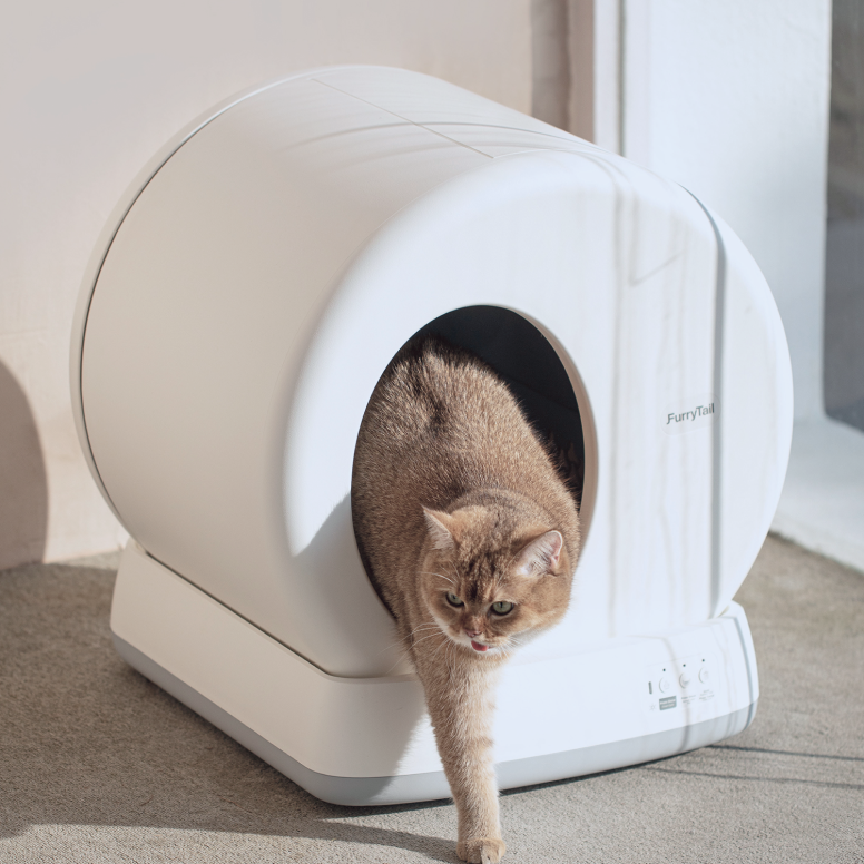 Automatic Cat Litter Box