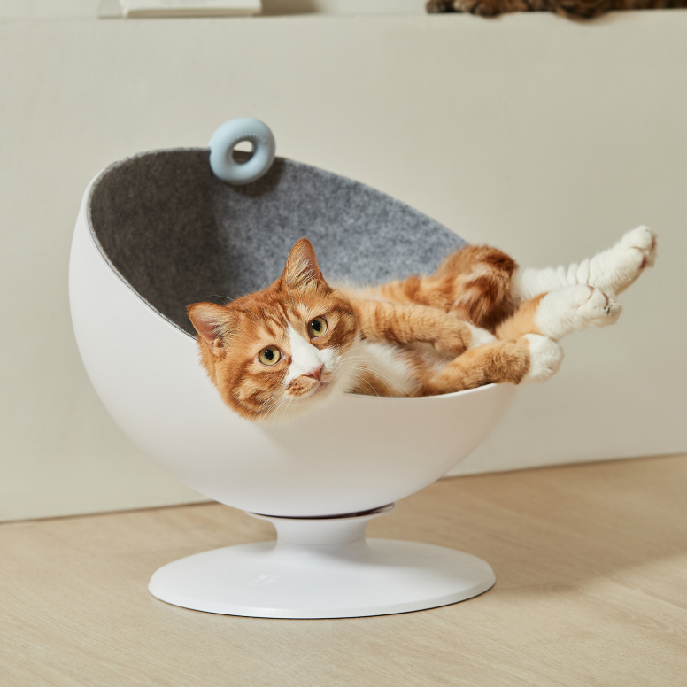 Boss Cat Bed