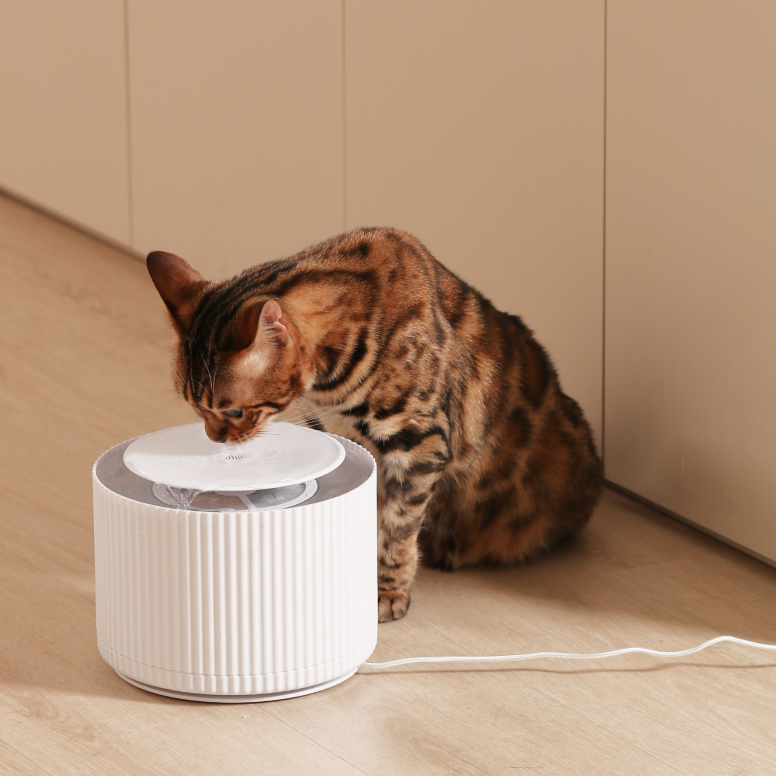 Automatic Clear Cat Water Fountain/2L