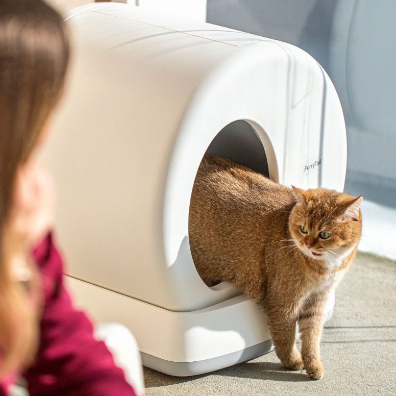 Automatic Cat Litter Box