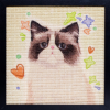 Customized ARTistiCAT Scratcher