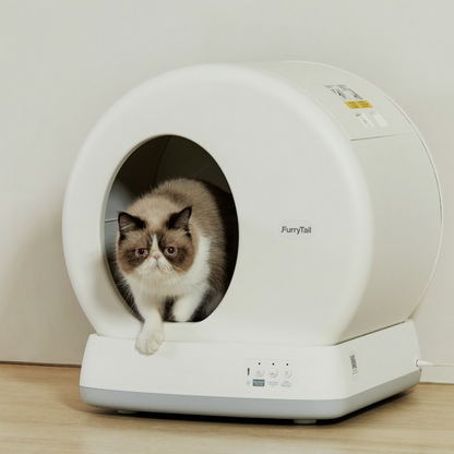 Automatic Cat Litter Box