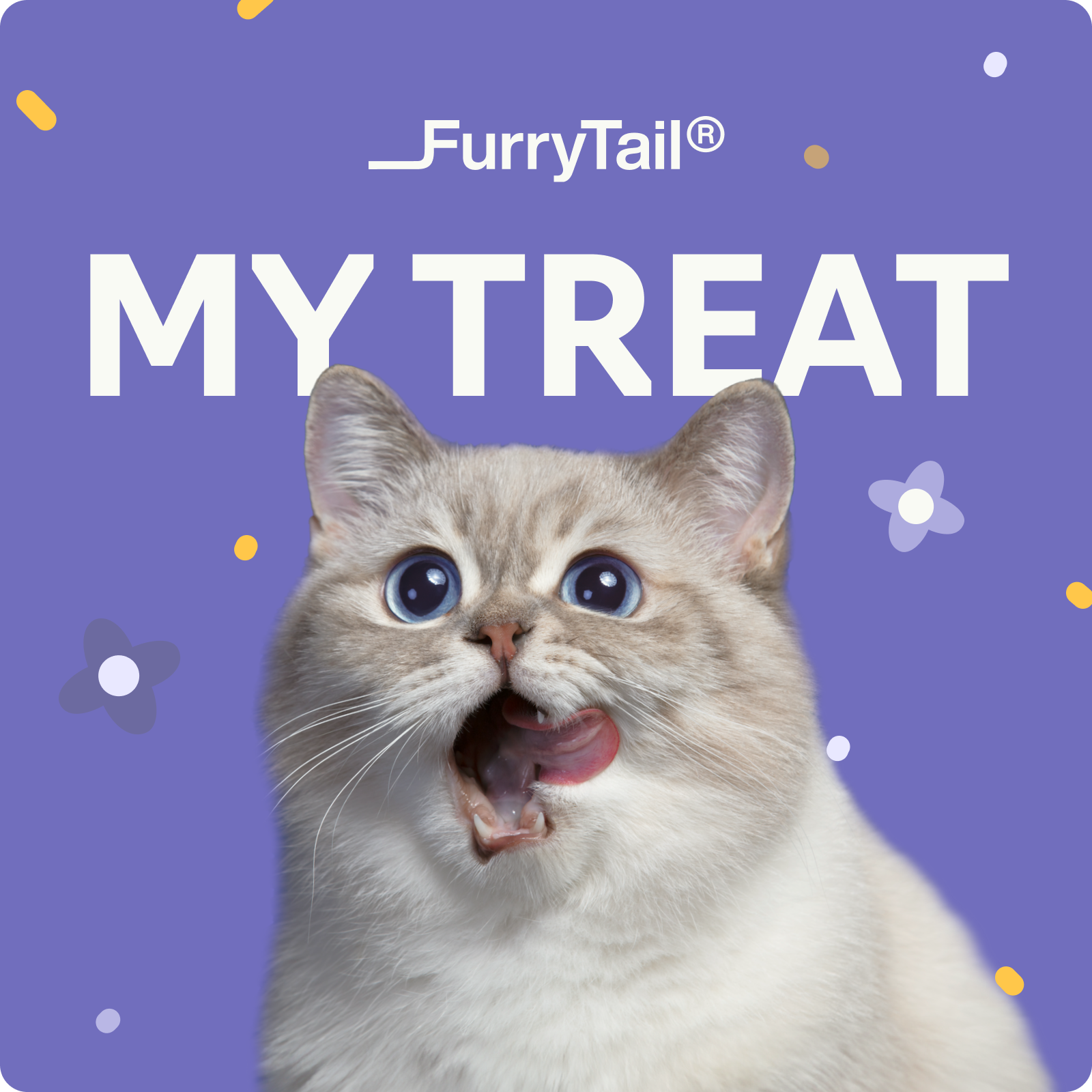 FurryTail Gift Card