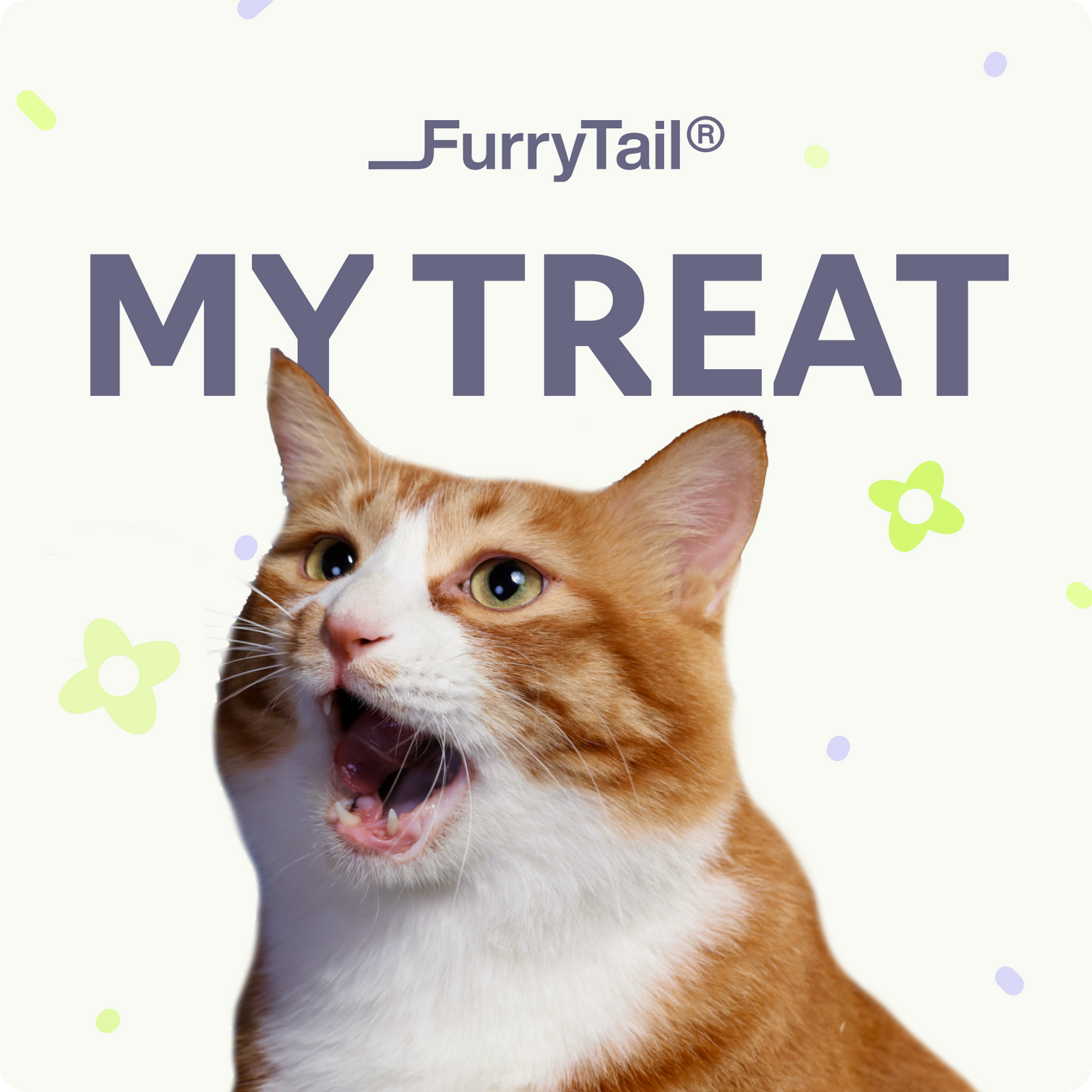 FurryTail Gift Card