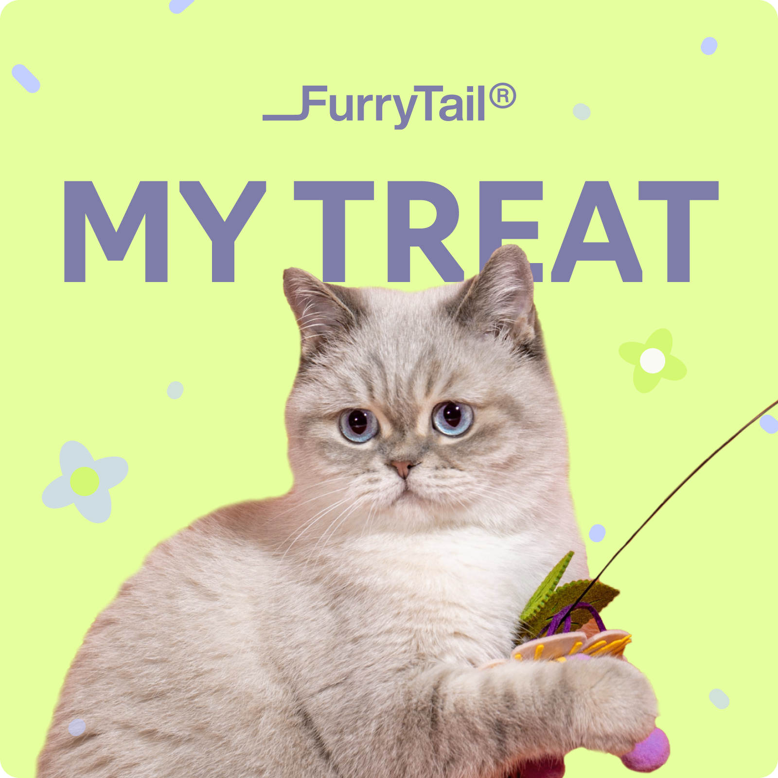 FurryTail Gift Card