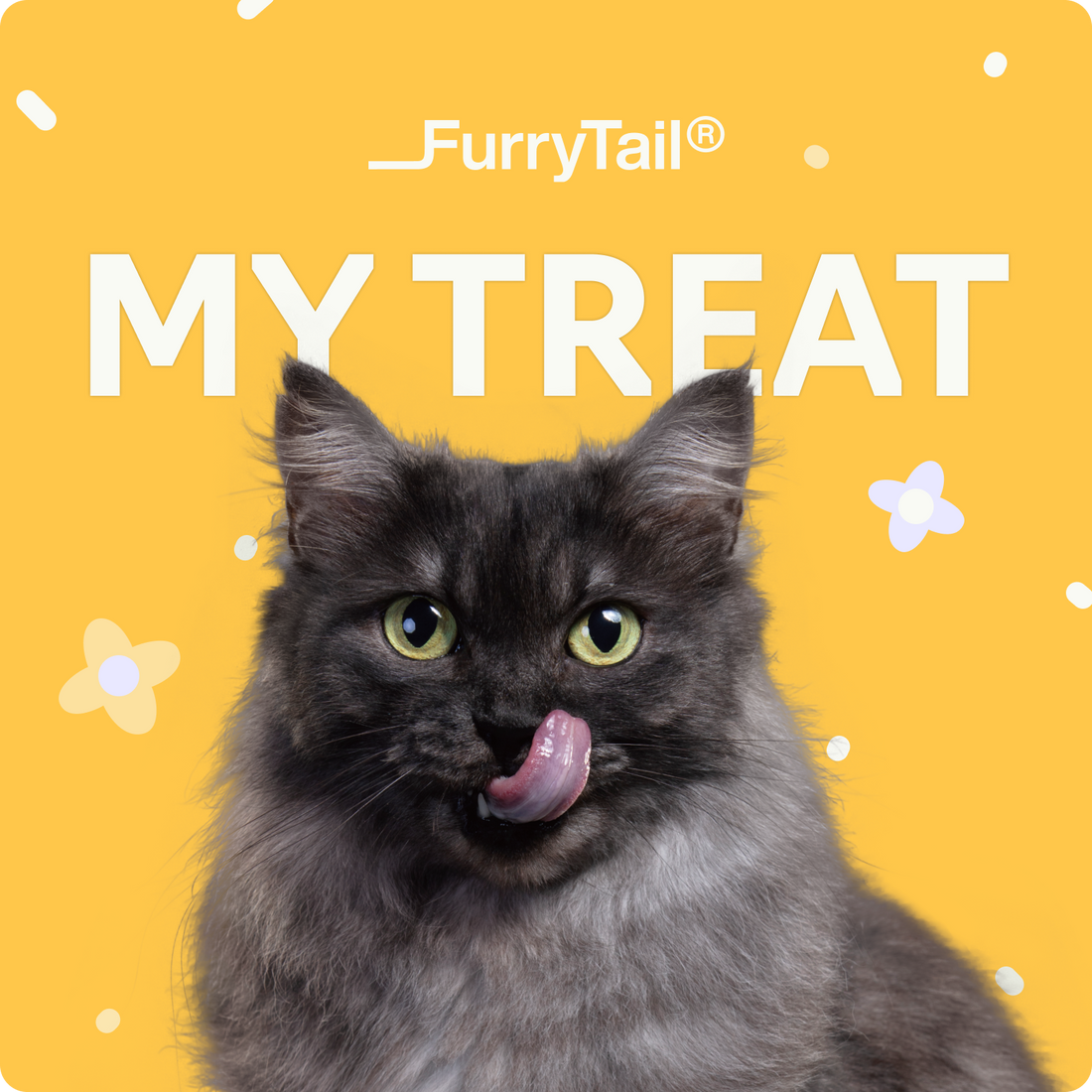 FurryTail Gift Card