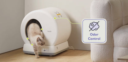 Automatic Cat Litter Box