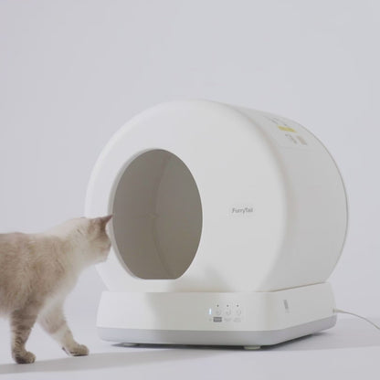 Automatic Cat Litter Box