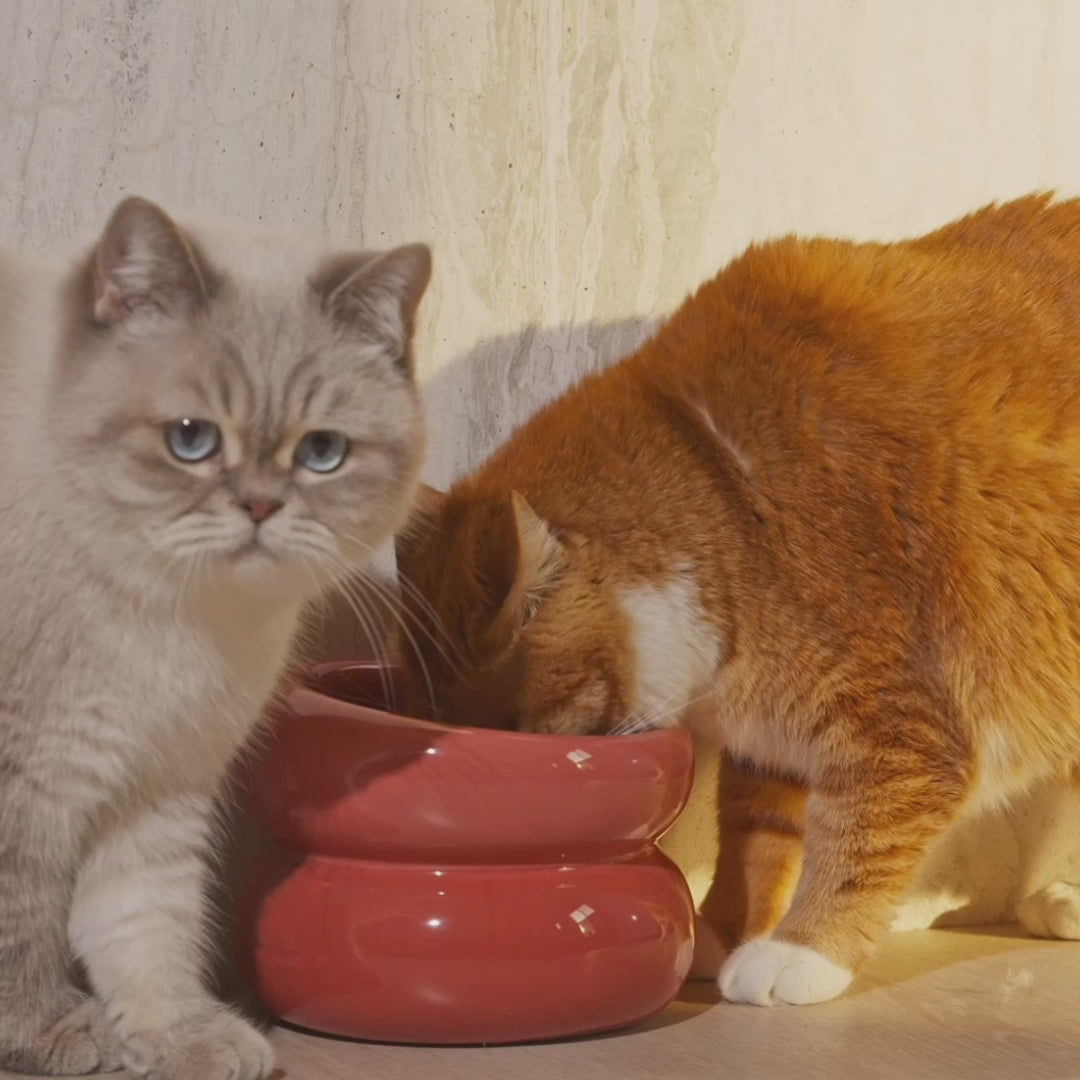 Souffle Pet Bowl