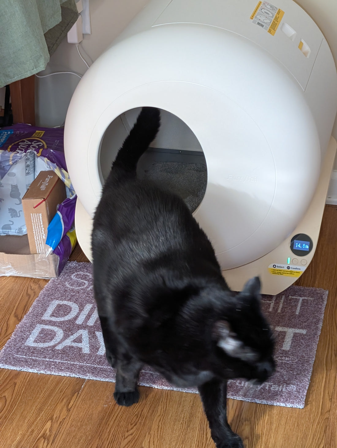2-in-1 Elevated Glass Cat Bowl
